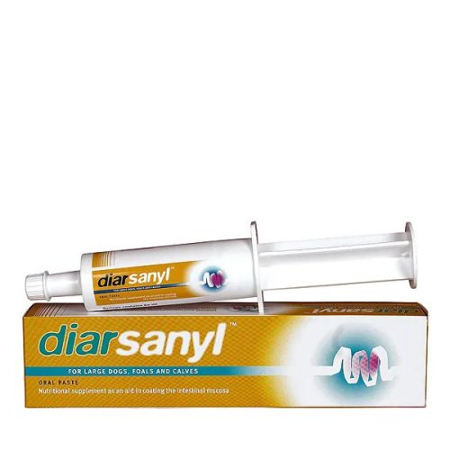 DiarSanyl paszta 24ml