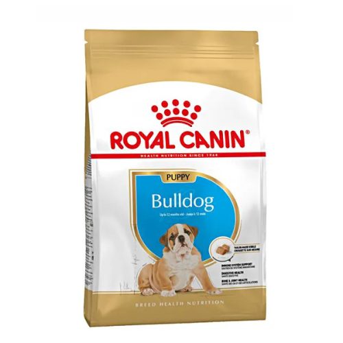 Bulldog Puppy 3kg