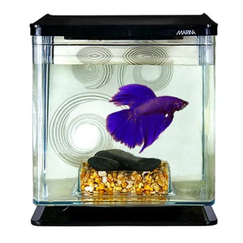 Betta Kit Zen miniakvárium 2L