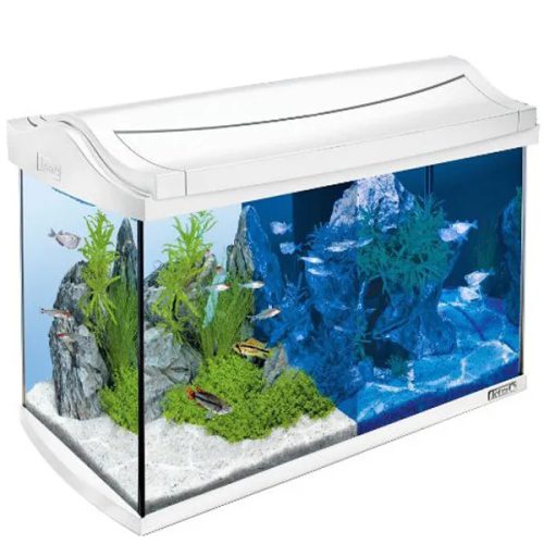 AquaArt LED akvárium készlet Fehér 60L