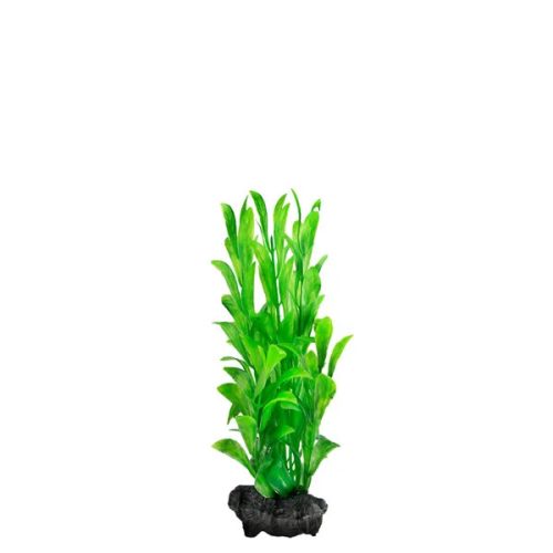 DecoArt Hygrophila Small 15cm