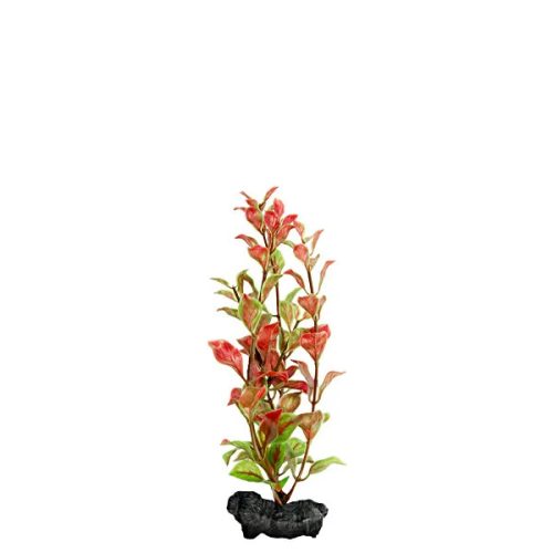 DecoArt Red Ludwigia Small 15cm