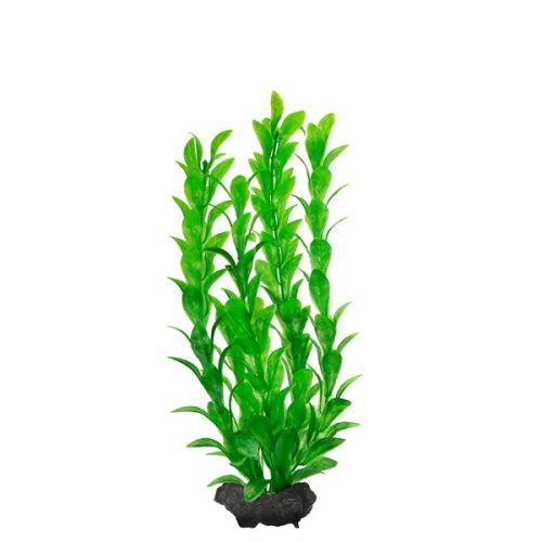 DecoArt Hygrophila Medium 23cm