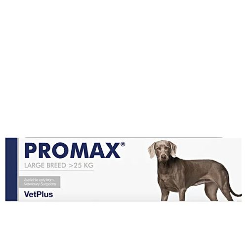 Promax Large probiotikus paszta 30ml