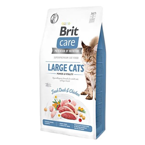 Care Cat Grain Free Large Cats Friss Kacsa csirkével 2kg