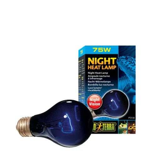 Night Heat Lamp 75W