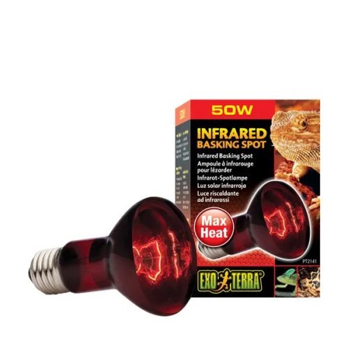 Infrared Basking Spot 50W