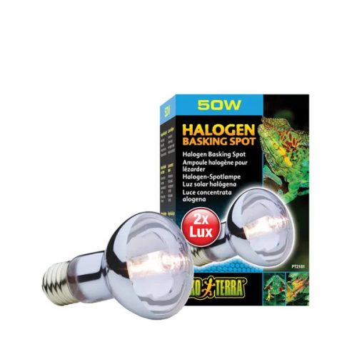 Halogen Basking Spot dupla fényerővel 50W