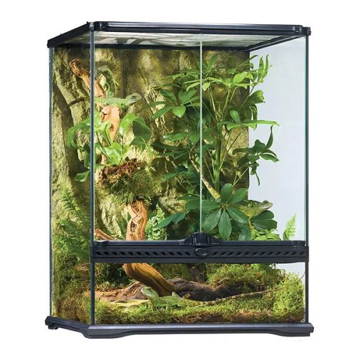 Glass Terrarium Medium/X-Tall 60x45x90cm