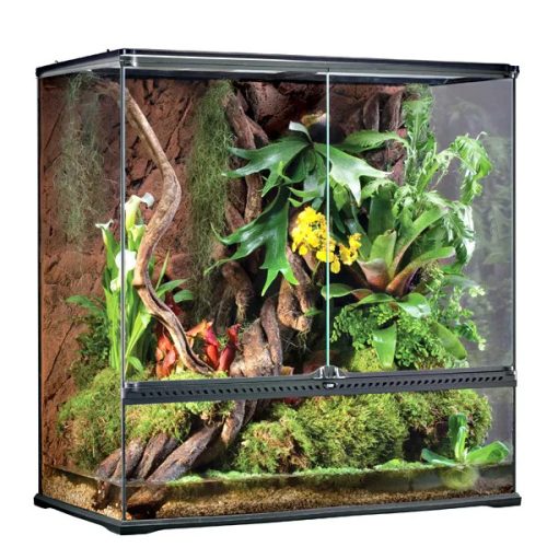 Glass Terrarium Large/X-Tall 90x45x90cm