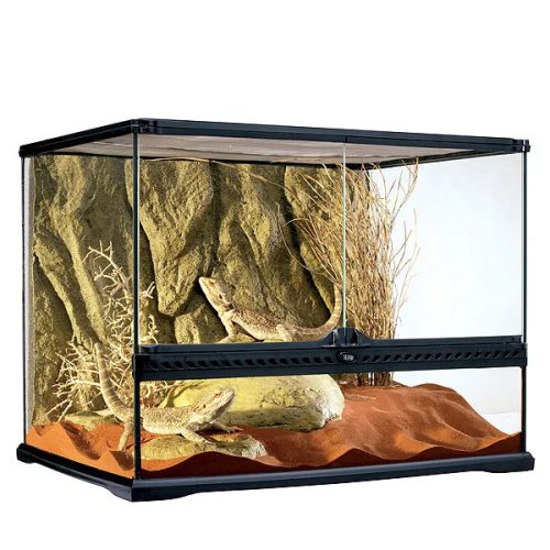 Glass Terrarium Medium/Wide 60x45x45cm