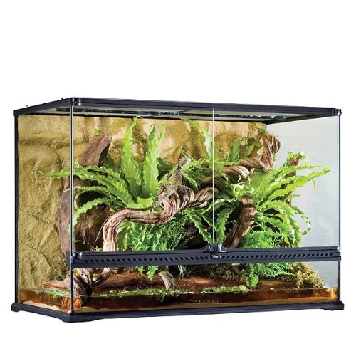 Glass Terrarium Large/Tall 90x45x60cm