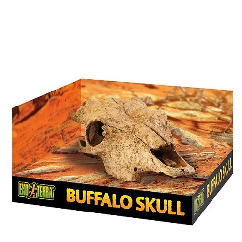 Buffalo Skull bölénykoponya 24cm