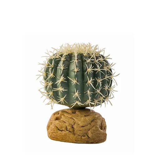 Desert Plant Barell Cactus Small 10cm