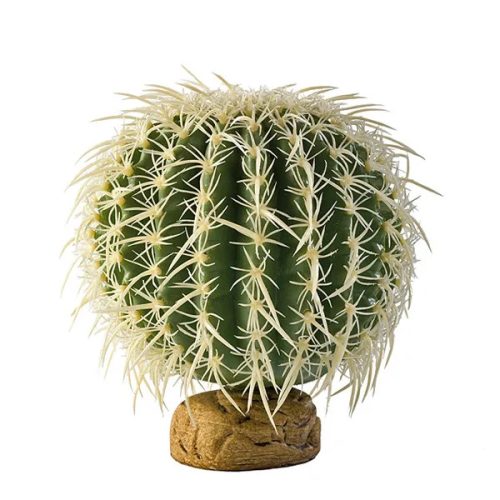 Desert Plant Barell Cactus Medium 15cm