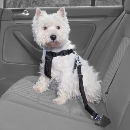 Car Safety Harness biztonsági öv hám XSmall