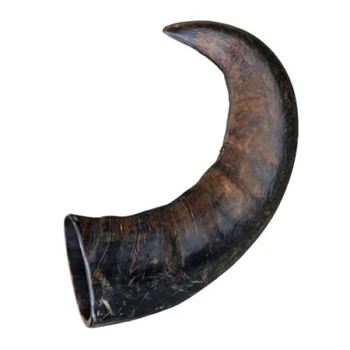 Buffalo Chewing Horn Bivalyszarv large