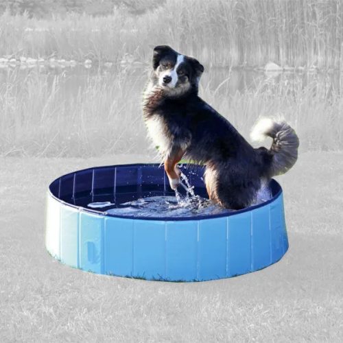 Dog Pool kutyamedence Small 80x20cm